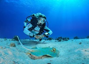 Corso Istruttore PADI