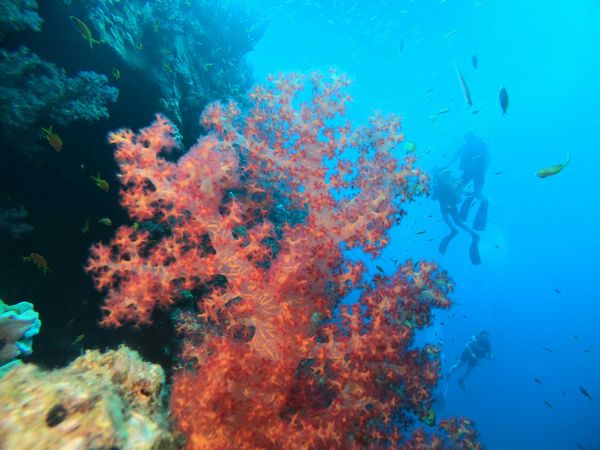 Cinque luoghi da visitare quando viaggi a Hurghada - Egitto